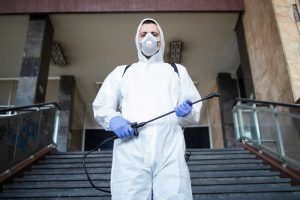 La importancia del control de plagas para la salud